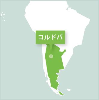 南米、アルゼンチン、コルドバでのボランティア アルゼンチンのコルドバでのプロジェクトアブロードボランティア達