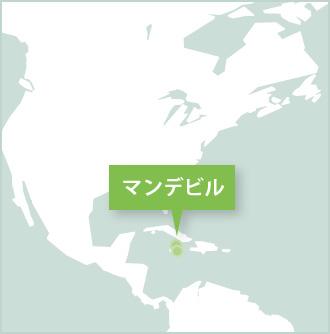 ジャマイカの活動拠点 ジャマイカ、mandevilleのボランティア活動地マップ